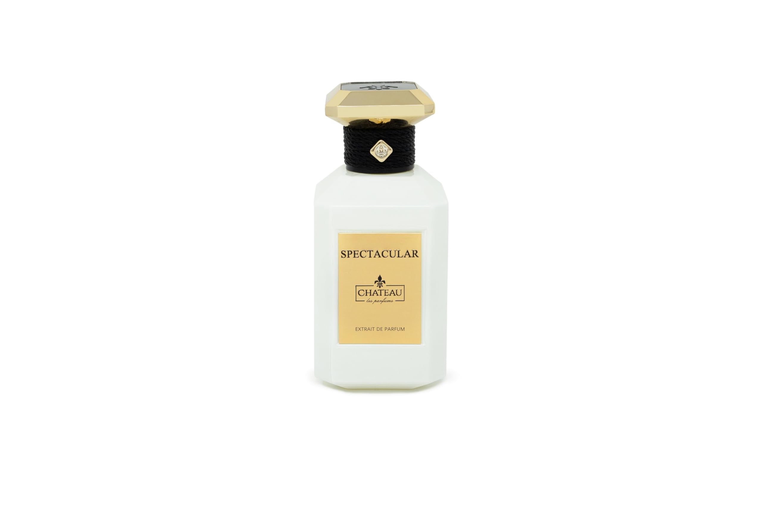 51FxtDPgA0L Chateau Spectacular 3.4oz Unisex EDP Spray by Chateau