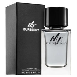 Burberry Mr. 3.3oz Men EDT Spray by Burberry