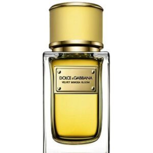 Dolce & Gabbana Velvet Ginestra 5.0oz Women EDP Spray by Dolce & Gabbana